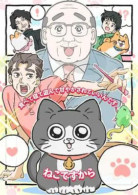 《转生成猫的大叔》：温馨治愈，人猫情未了的奇幻之旅