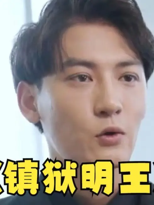 《镇域明王》：拳拳到肉的武打盛宴，热血沸腾的格斗传奇